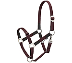 Foal & Shetland Pony Headcollar Katy