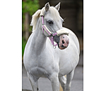 Foal & Shetland Pony Teddy Fleece Headcollar Cozy Adjustable