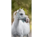 Foal & Shetland Pony Teddy Fleece Headcollar Cozy Adjustable