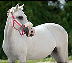 Foal & Shetland Pony Teddy Fleece Headcollar Cozy Adjustable