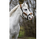 Foal & Shetland Pony Teddy Fleece Headcollar Cozy Adjustable