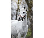 Foal & Shetland Pony Teddy Fleece Headcollar Cozy Adjustable