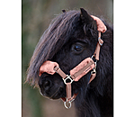 Foal & Shetland Pony Teddy Fleece Headcollar Cozy Adjustable