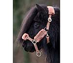 Foal & Shetland Pony Teddy Fleece Headcollar Cozy Adjustable