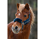 Foal & Shetland Pony Teddy Fleece Headcollar Cozy Adjustable