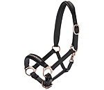 Foal & Shetland Headcollar Little Rosy