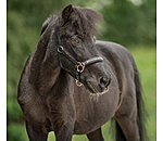 Foal & Shetland Headcollar Little Rosy