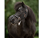 Foal & Shetland Pony Headcollar Little Rosy
