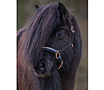 Foal & Shetland Headcollar Little Rosy