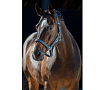 Headcollar Twinkle