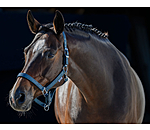 Headcollar Twinkle