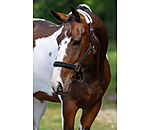 Headcollar Crystal Chain