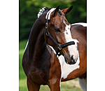 Headcollar Crystal Chain
