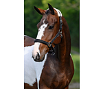 Headcollar Crystal Chain