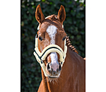 Teddyfleece Headcollar Cuddly