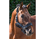 Teddyfleece Headcollar Cuddly
