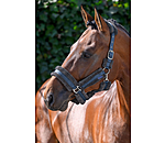 Teddyfleece Headcollar Cuddly
