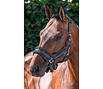 Teddyfleece Headcollar Cuddly
