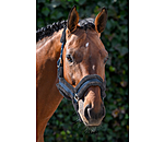 Teddyfleece Headcollar Cuddly