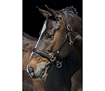 Leather Headcollar Elegant
