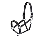 Leather Headcollar Elegant