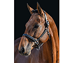 Leather Headcollar Elegant