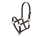 Foal Leather Headcollar Classic