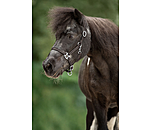 Foal Leather Headcollar Classic