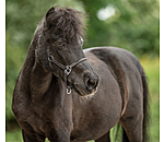 Foal Leather Headcollar Classic