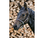 Foal Leather Headcollar Classic
