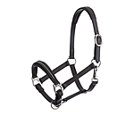 Foal and Shetland Pony Leather Headcollar Selina with Rhinestones