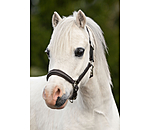 Foal and Shetland Leather Headcollar Selina with Rhinestones