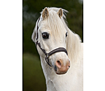 Foal and Shetland Leather Headcollar Selina with Rhinestones