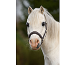 Foal and Shetland Leather Headcollar Selina with Rhinestones