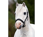 Foal and Shetland Leather Headcollar Selina with Rhinestones