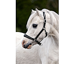 Foal and Shetland Leather Headcollar Selina with Rhinestones