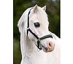 Foal and Shetland Leather Headcollar Selina with Rhinestones