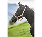 Foal and Shetland Pony Headcollar Shimmering