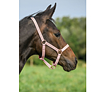 Foal and Shetland Pony Headcollar Shimmering