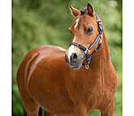 Foal and Shetland Pony Headcollar Shimmering