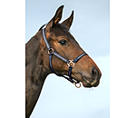 Foal and Shetland Pony Headcollar Shimmering