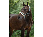 Headcollar Shimmering Stripes