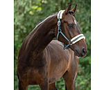 Headcollar Shimmering Stripes