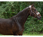 Headcollar Shimmering Stripes