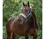 Headcollar Shimmering Stripes