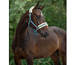 Headcollar Shimmering Stripes