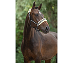 Headcollar Shimmering Stripes