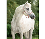 Foal and Shetland Pony Headcollar Crystal Chain