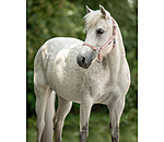 Foal and Shetland Pony Headcollar Crystal Chain