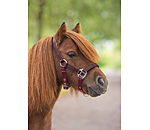 Foal and Shetland Pony Headcollar Twinkle
